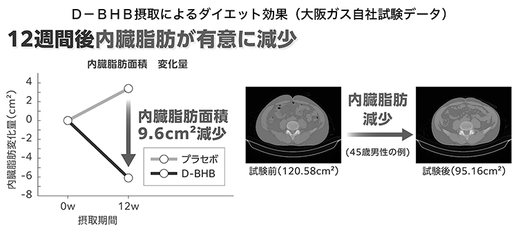 D-BHB摂取によるダイエット効果（大阪ガス自社試験データ）