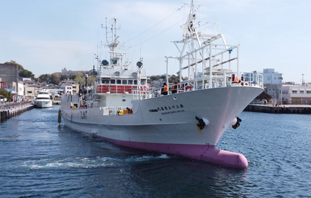 サンマが不漁のためマグロ漁も行っているサンマ棒受け網漁船（池田水産提供）