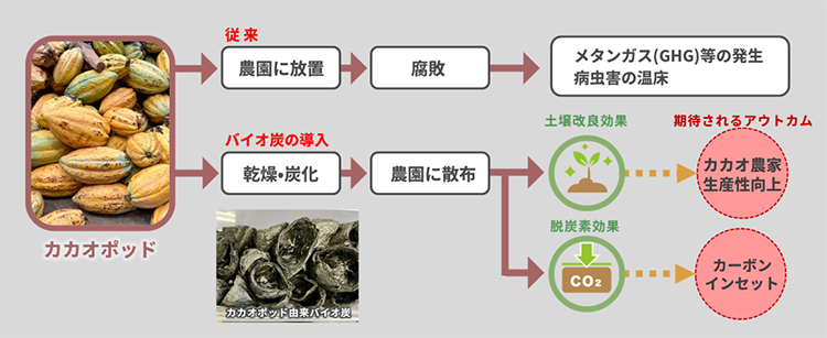 ロッテら4社、カカオ生産性向上へ　再生農業の評価試験実施