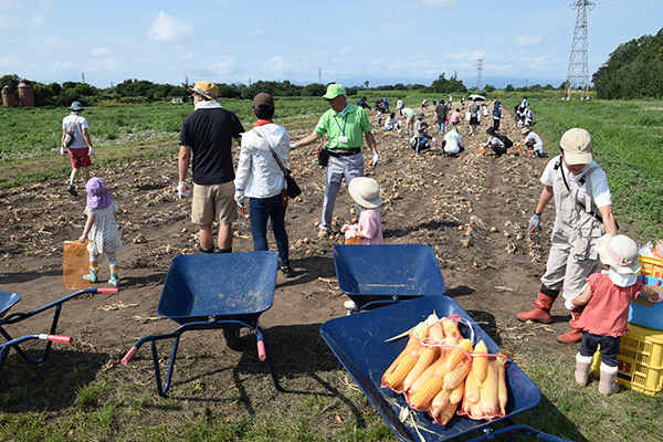 北海道アグリ企画、家族で収穫体験祭　地元野菜を身近に