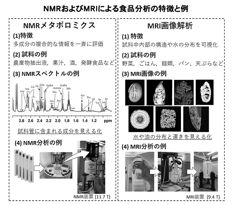 食品ニューテクノロジー研究会講演：国立研究開発法人・関山恭代上級研究員