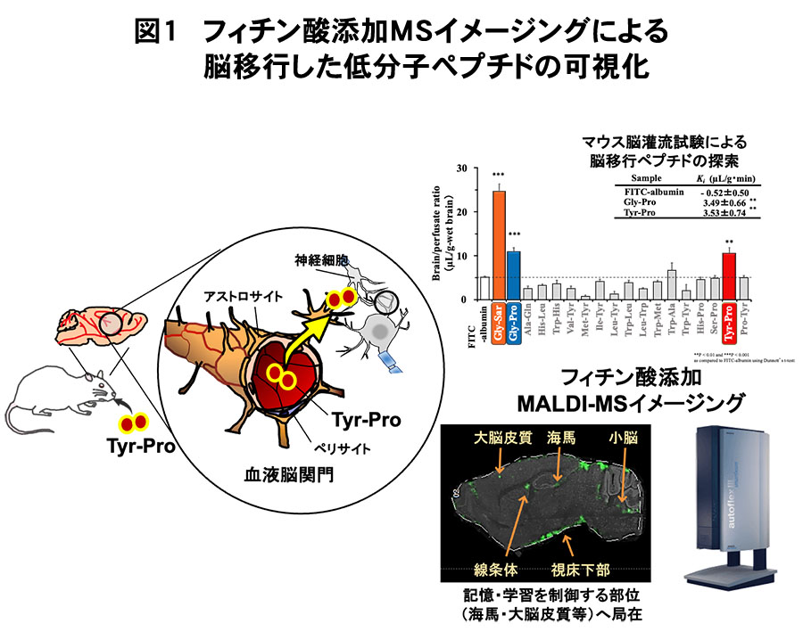 食品ニューテクノロジー研究会講演：九州大学・田中充准教授