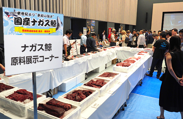 選りすぐりの鯨肉原料を飲食・小売業界へ提案