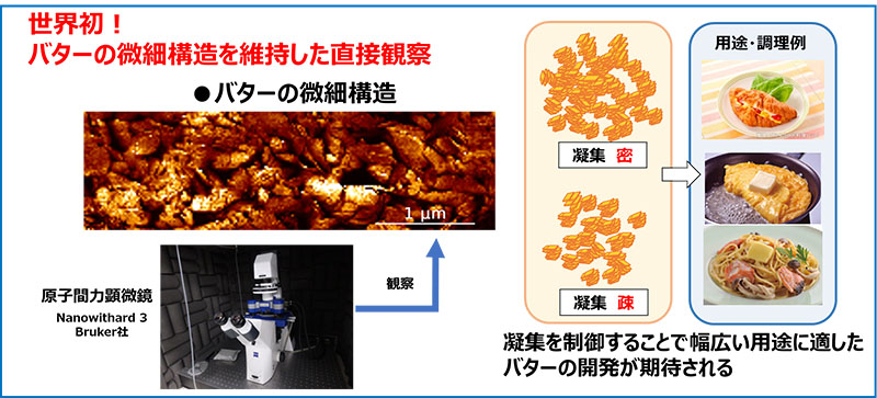 多ジャンルの商品開発への応用が期待される