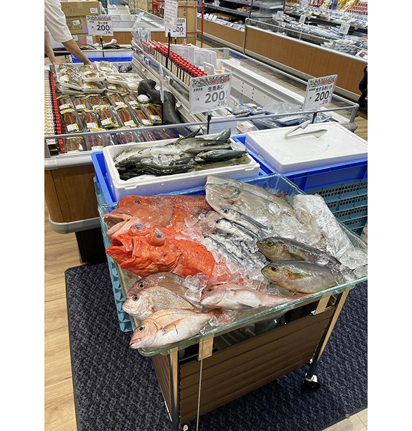 鮮魚売場（うらのはし店）