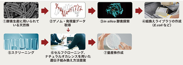 非GM手法で酵素設計、ディグザイムが支援