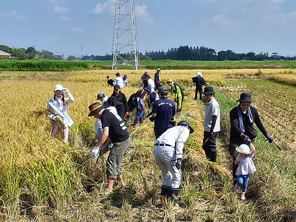 コメビジネス最前線特集：コメ産地　高値による需要離れ防ぐ