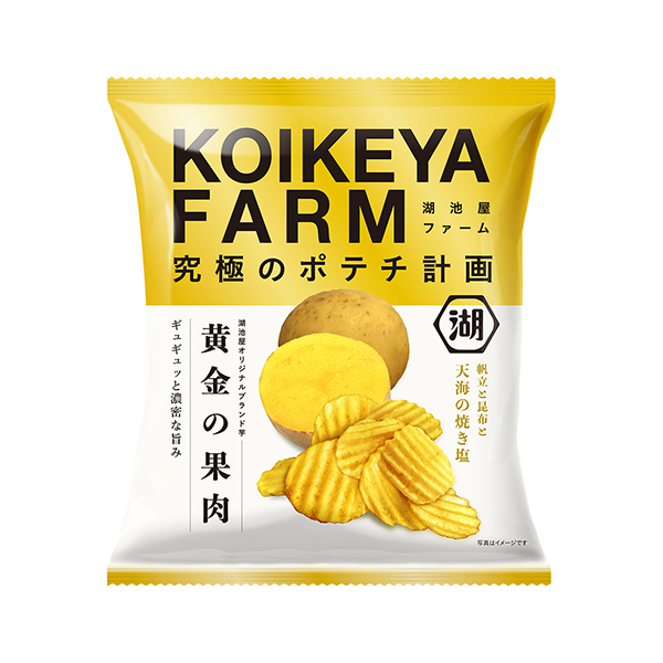 KOIKEYA　FARM＜黄金の果肉　天海の焼き塩＞（湖池屋）2024年10…