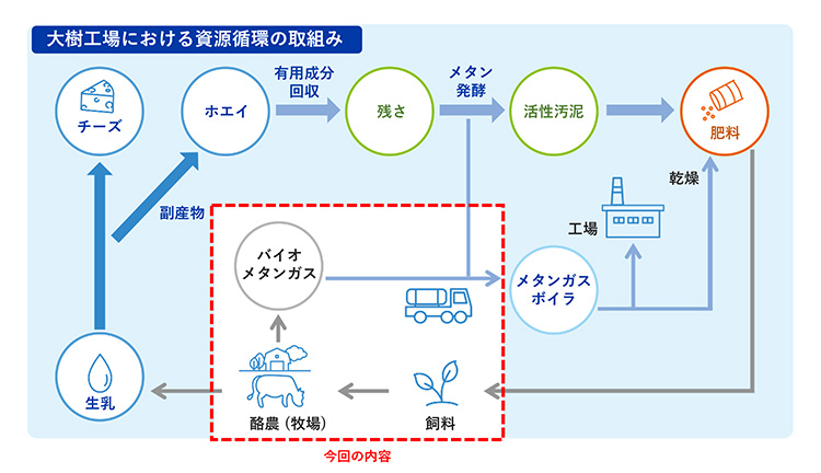 雪印メグミルク、酪農由来のバイオメタンガス活用開始