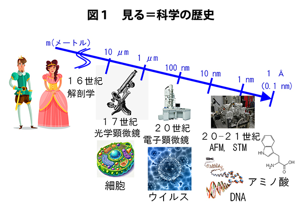 食品ニューテクノロジー研究会講演：福島大学・平修教授