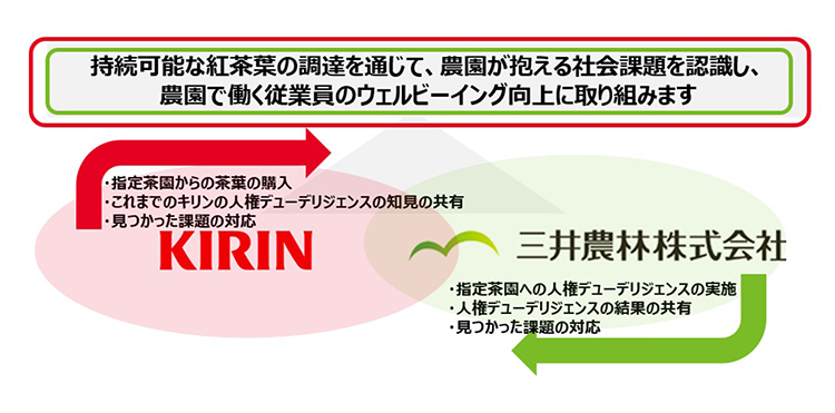 キリンHDと三井農林、紅茶葉を持続的調達　スリランカの人権リスク対応