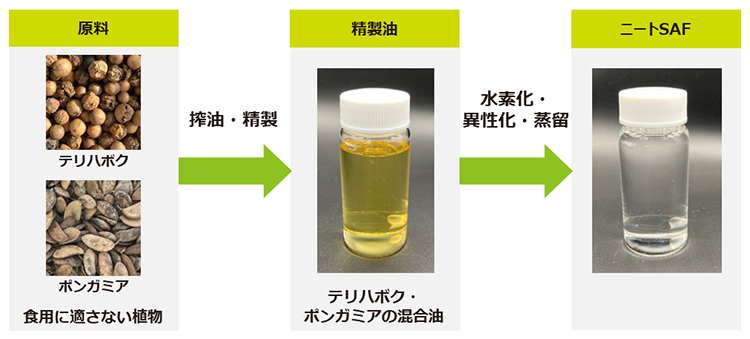 【速報】J-オイルミルズ、非食用亜熱帯植物からニートSAF