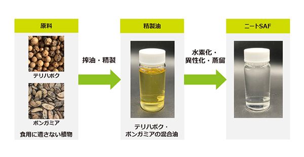 J-オイルミルズ、安定的な供給期待　街路樹から航空燃料