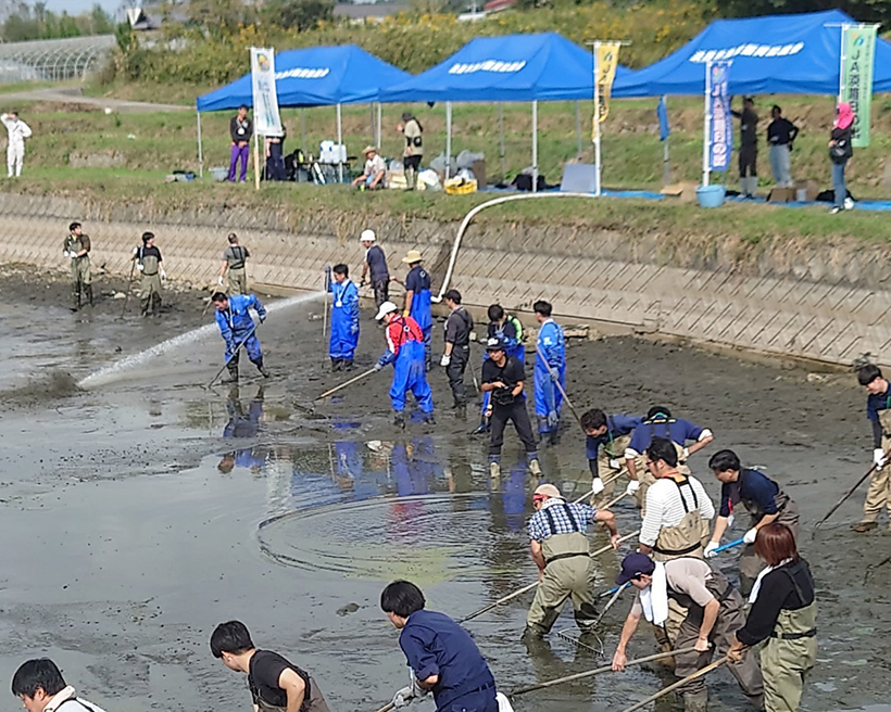 全国支社局ネットワーク特集：関西発＝一宮町漁協、「かいぼり」で海に栄養塩補給