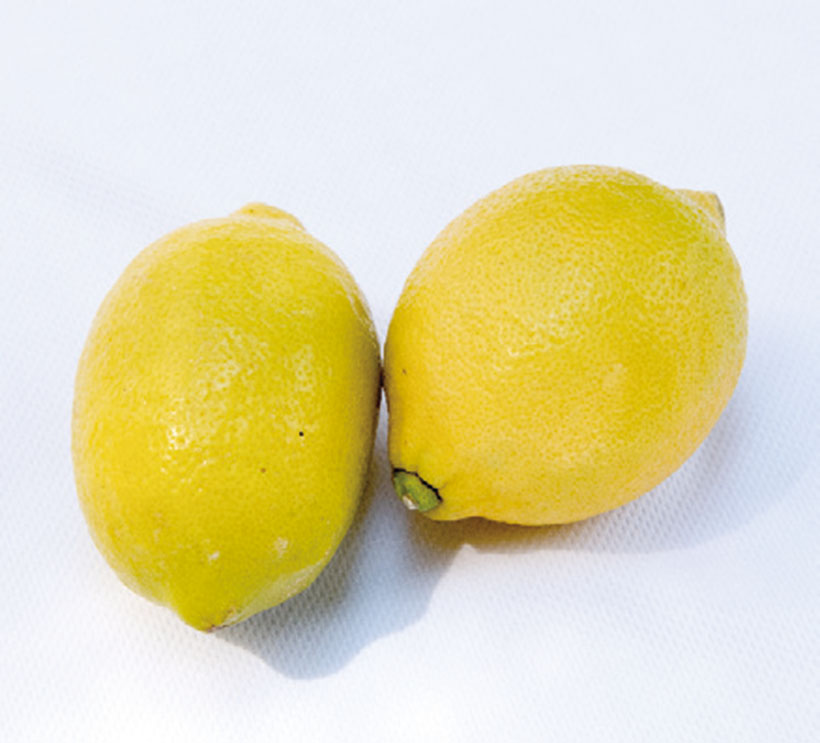野菜果物で一皿のサプライズ：レモン