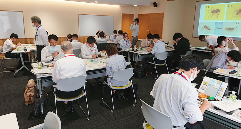 特集・異物混入対策［防虫編］：企業事例＝明治　「防虫管理技師認定制度」を創設