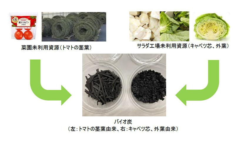 キユーピーとカゴメ、野菜残さでバイオ炭　27年実用化へ共同研究
