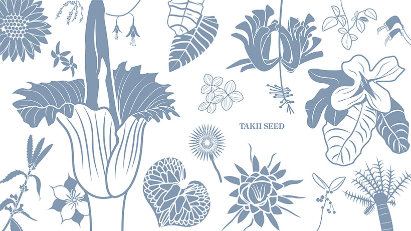 タキイ種苗、学生考案企画第3弾は120種類の植物イラスト、無料ダウンロードも