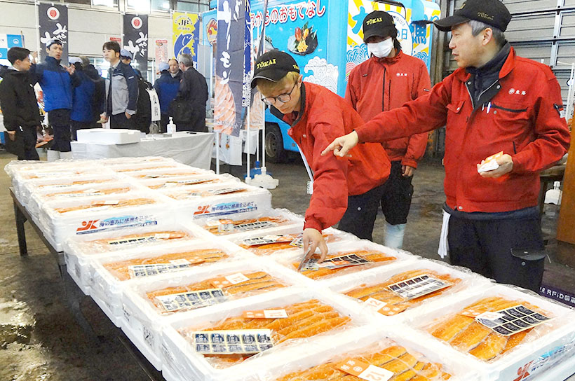 地域の食景色：仙台市中央卸売市場　宮城の銀ザケ入荷始まる