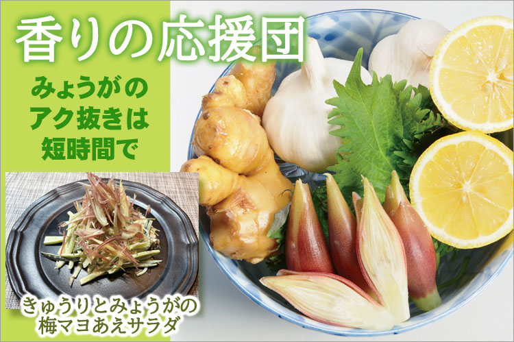 香りの応援団　みょうがのアク抜きは短時間で
