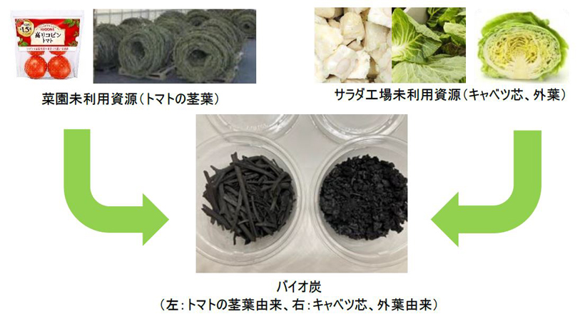 【速報】キユーピーとカゴメ、野菜残さでバイオ炭　27年実用化へ共同研究