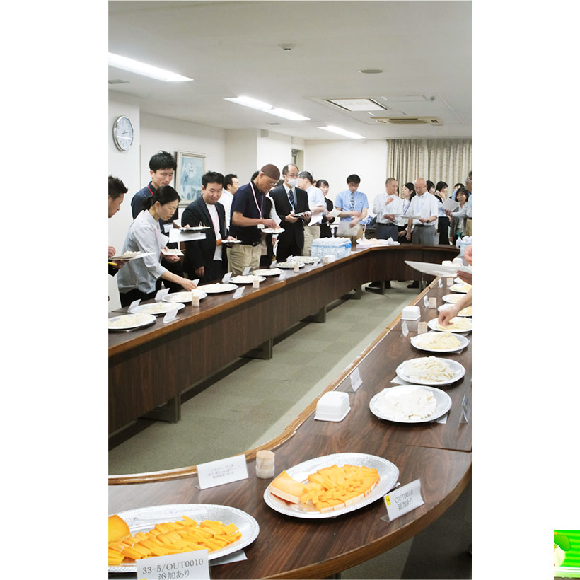 日本乳業技術協会、NC純国産化へワークショップ開催　「Jチーズ乳酸菌」利用拡…