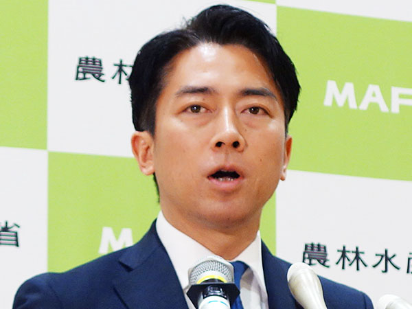 小泉農水相、コメ在庫把握強化へ　食品業界にヒアリングも