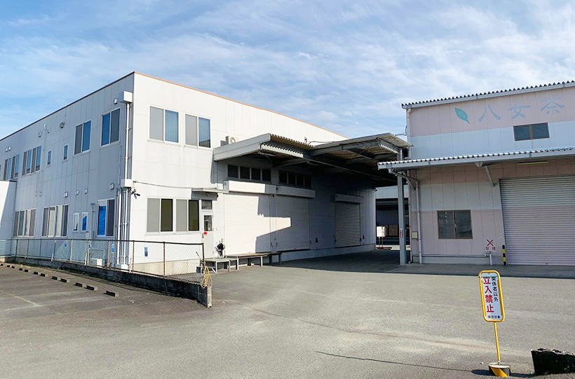 全国緑茶特集：吉田園　有機茶・抹茶大量生産へ