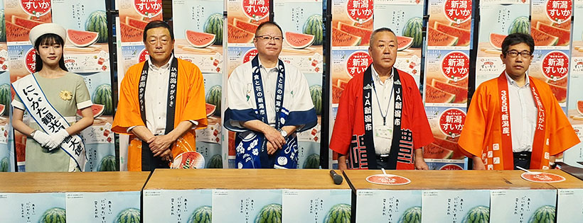 新潟すいか出荷最盛期　井崎副市長ら首都圏販促