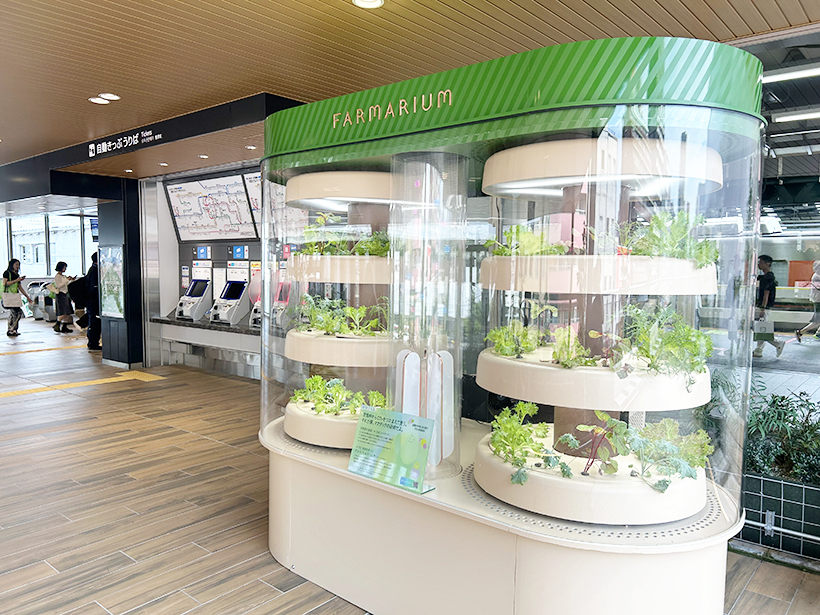 FOOMA JAPAN 2025 注目のスタートアップ　食の可能性広げる最先…