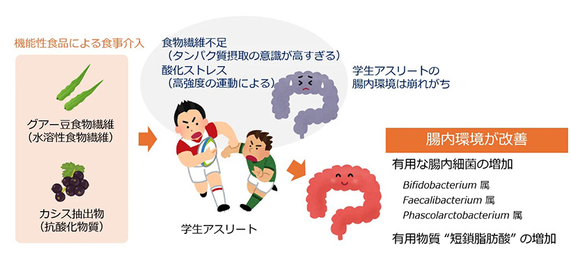 【速報】太陽化学など、機能性食品が腸内環境改善　学生アスリート「腸活」に期待