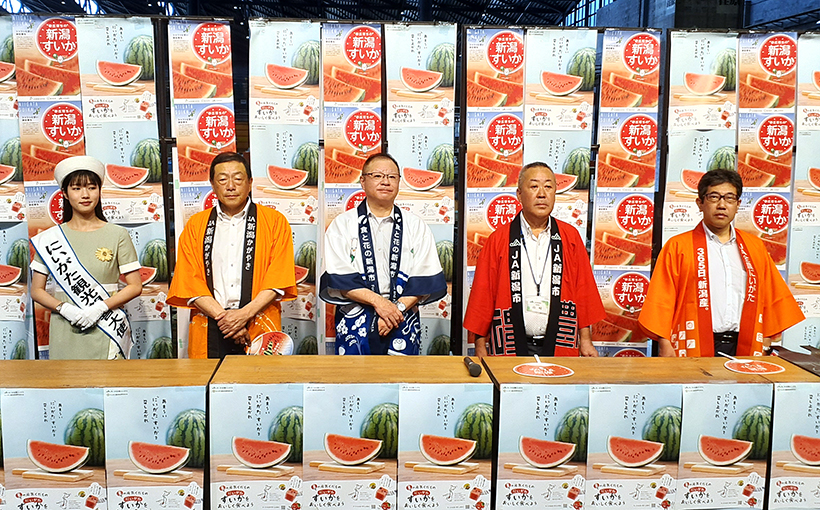 【速報】甘さ・シャリ感に優れる「新潟すいか」　首都圏へのプロモーション実施