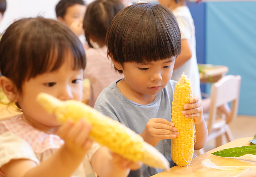 オイシックス・ラ・大地、保育園で食育　規格外トウモロコシ活用