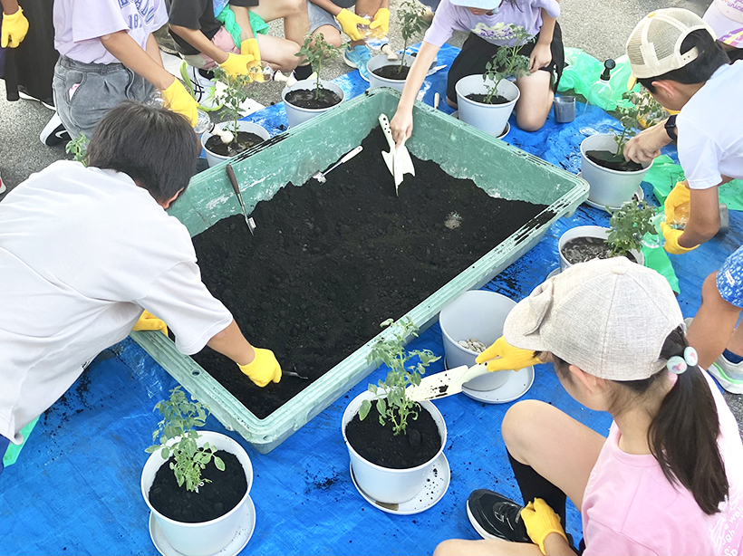 六甲バター、チーズ肥料で苗植え　小学生親子体験イベントでSDGs学ぶ