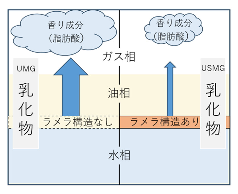 雪印メグミルク、油水界面の構造が香り成分放出に影響　マーガリン類のバター様風…