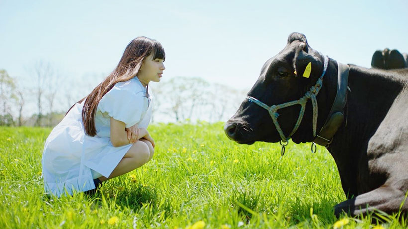 ハーゲンダッツ ジャパン、特別動画「ミルクを育てる」篇を公開