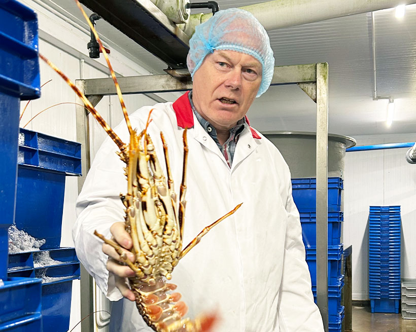 アイルランド～緑の約束～（4）ソフリマー　海・地域と築く共生モデル