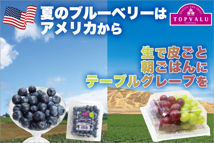 夏のブルーベリーはアメリカから