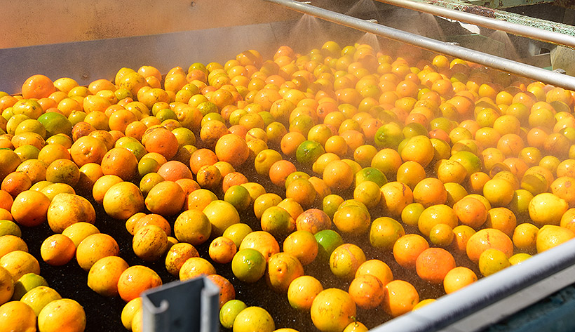 炎暑を駆ける夏の清涼飲料業界：高砂香料工業　フレーバー独自開発　高いエタノー…