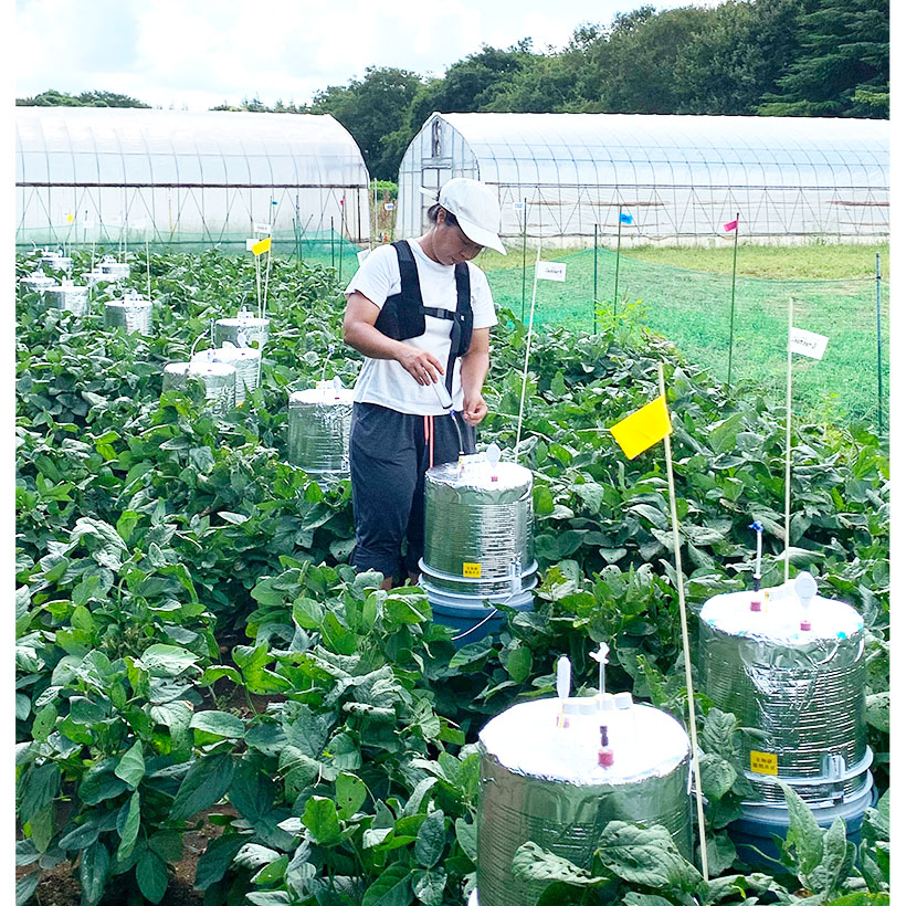 全国味噌特集：農研機構　大豆・根粒菌の共生系開発　温暖化抑制の貢献に期待