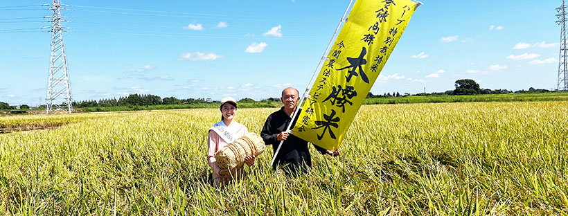2025Miss SAKE準グランプリ・弭間花菜さん、今関農園で稲刈り体験