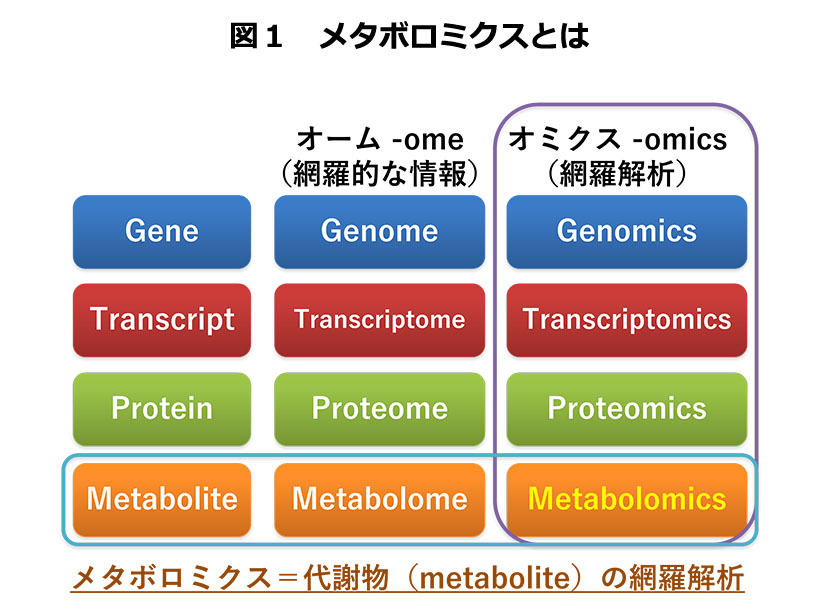 食品ニューテクノロジー研究会講演：京都大学大学院農学研究科農学専攻品質科学講…