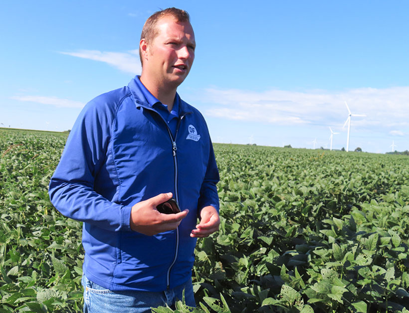 【Michigan Agricultural Commodities】有機大豆のほ場をDF SEEDSのタイ・ボディス氏が紹介した。有機栽培のため雑草が多く、葉には虫食いの穴も多数見られた