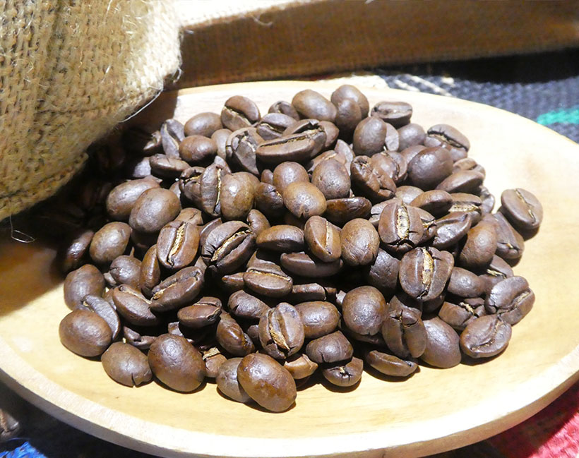 コーヒー・コーヒー用クリーム・紅茶特集：コーヒー＝一杯の重みや大切さを次世代…
