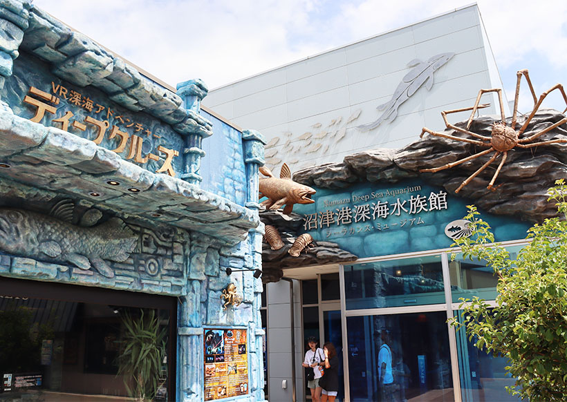11年開業の「沼津港深海水族館」