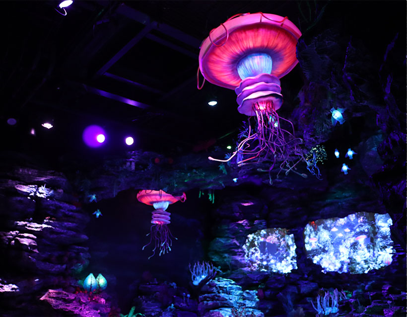 照明で没入感を演出するなどして他の水族館との差別化を図る