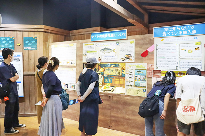成長乱獲で進む水産資源の枯渇をパネルで解説(いずれも沼津港深海水族館内)