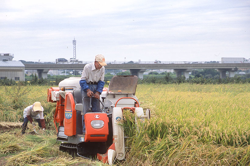 生産農家の窮状を軽視する風潮が依然として強い(提供=富士市)