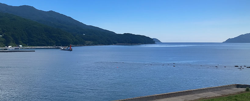 ニッスイ、大船渡市でサーモン養殖