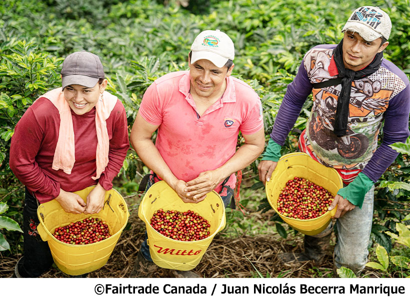 厳しい現状へ立ち向かうコロンビアの生産者((C)Fairtrade Canada/ Juan Nicolás Becerra Manrique)